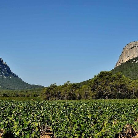 Gite Du Pic Saint Loup Valflaunes Exteriör bild