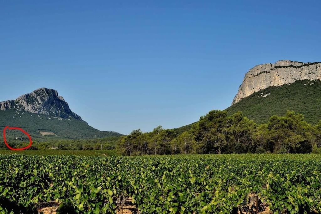 Gite Du Pic Saint Loup Valflaunes Exteriör bild